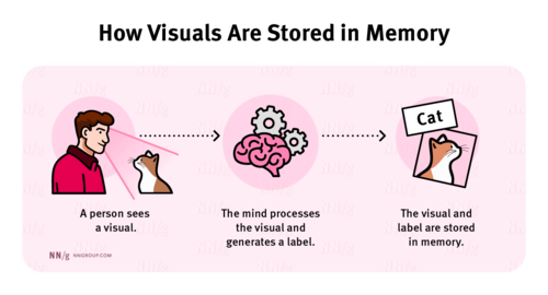 An illustration of how visuals are stored in our memory.